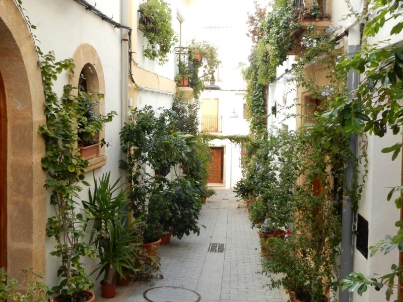 Javea Old Town plant filled cami.