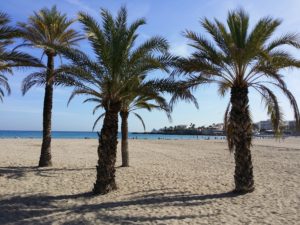 Sandy beach, blue sea and sky. People and palm trees.