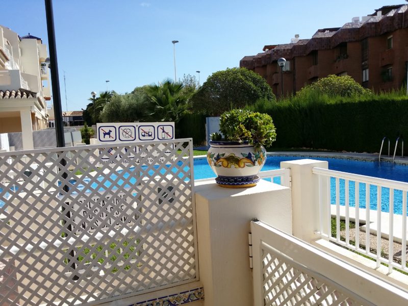 Swimming pool, blue, plant pot and plant, white gate and fence